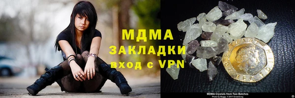 прущие грибы Заводоуковск