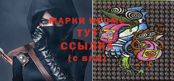 прущие грибы Заводоуковск