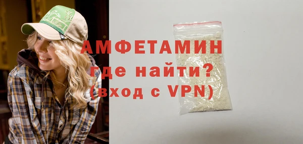 прущие грибы Заводоуковск