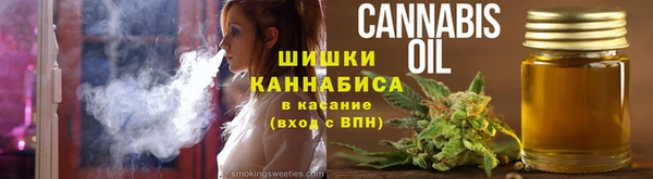прущие грибы Заводоуковск