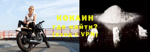 прущие грибы Заводоуковск