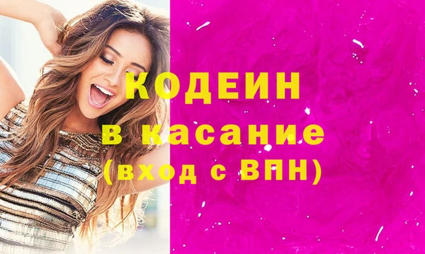 прущие грибы Заводоуковск