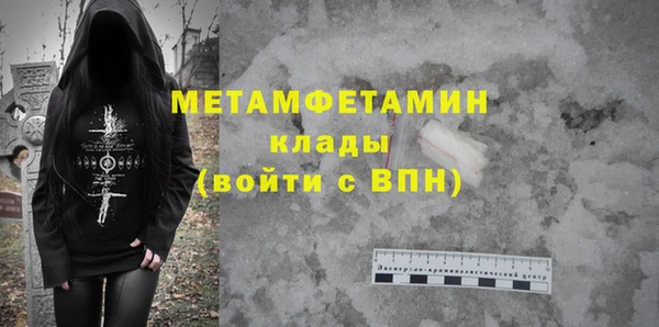 прущие грибы Заводоуковск