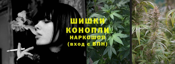 прущие грибы Заводоуковск